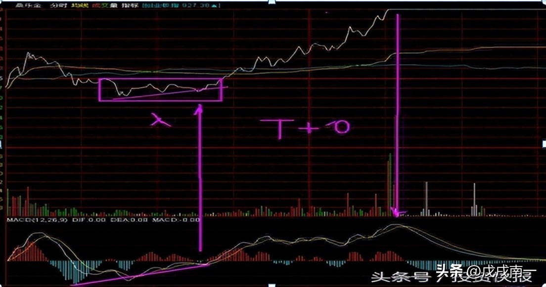 炒股亏几十万的人怎么补救,炒股亏掉5万如何安慰
