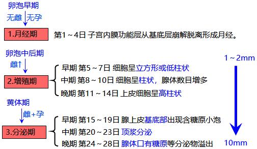怕她不来又怕她乱来的文案,怕她不来又怕她乱来出处