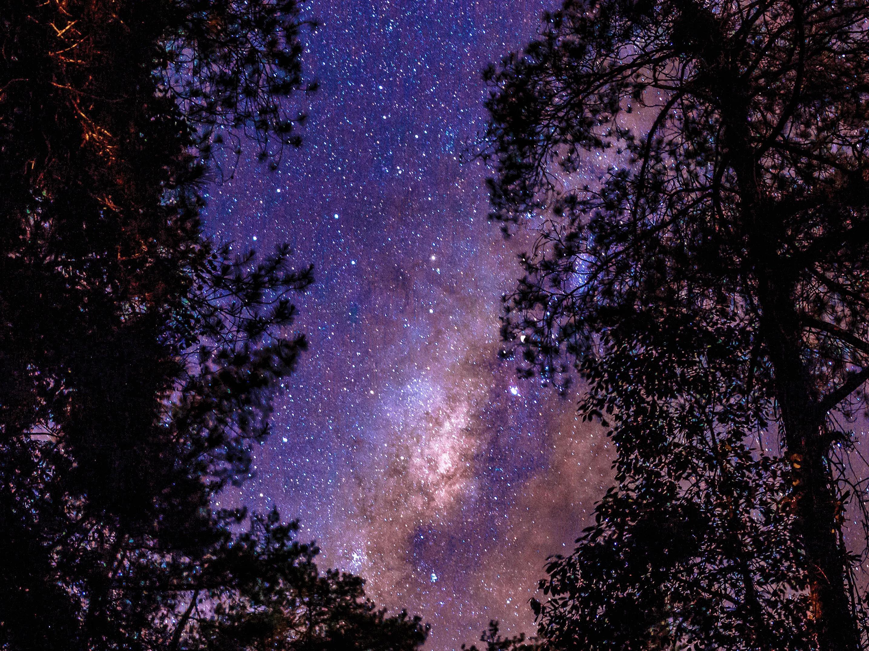 星落凝成糖看完后追什么剧,星落凝成糖挺下饭的一个剧