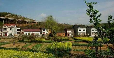 当前户口非转农都有哪些政策规定,农转非户口的最新政策到什么时候