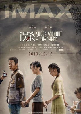 电影误杀推荐大片9.0以上评分,误杀同类型国产电影推荐