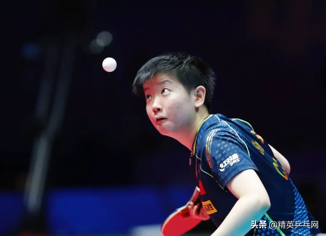 WTT新加坡赛战报,WTT新加坡赛赛况