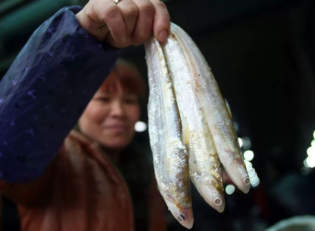 鱼塘几千斤鱼神秘消失,鱼塘数千条鱼神秘消失