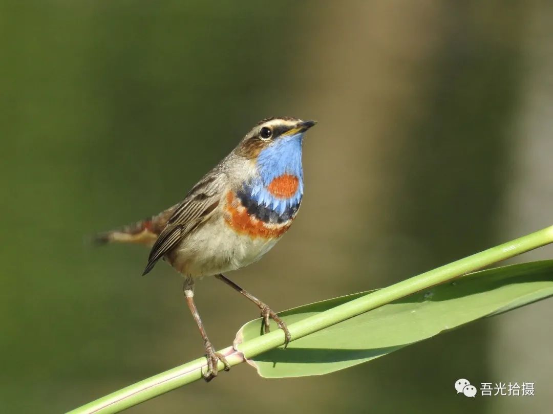砂石坑什么时候挖出来,砂石石槽图片