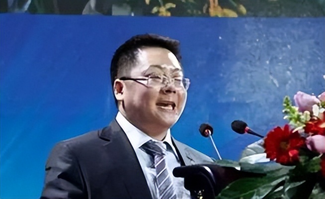 丁宁巅峰时期e租宝,e租宝丁宁难道不怕出事吗