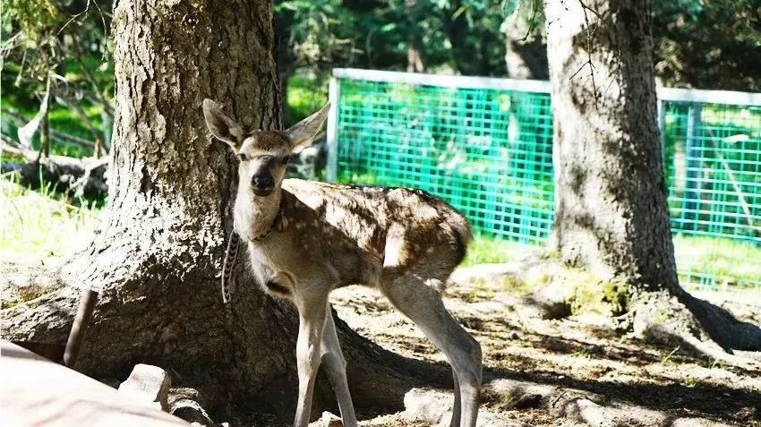 璁插ソ娴峰寳鏁呬簨浼犳挱娴峰寳澹伴煶,娴峰寳鐨勬柊鍙樺寲