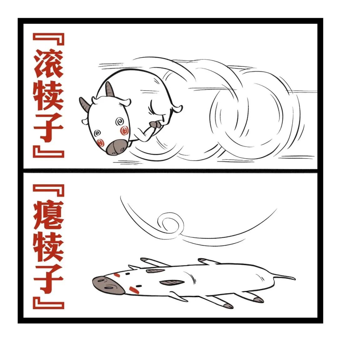 东北损人歇后语,东北话方言经典对话