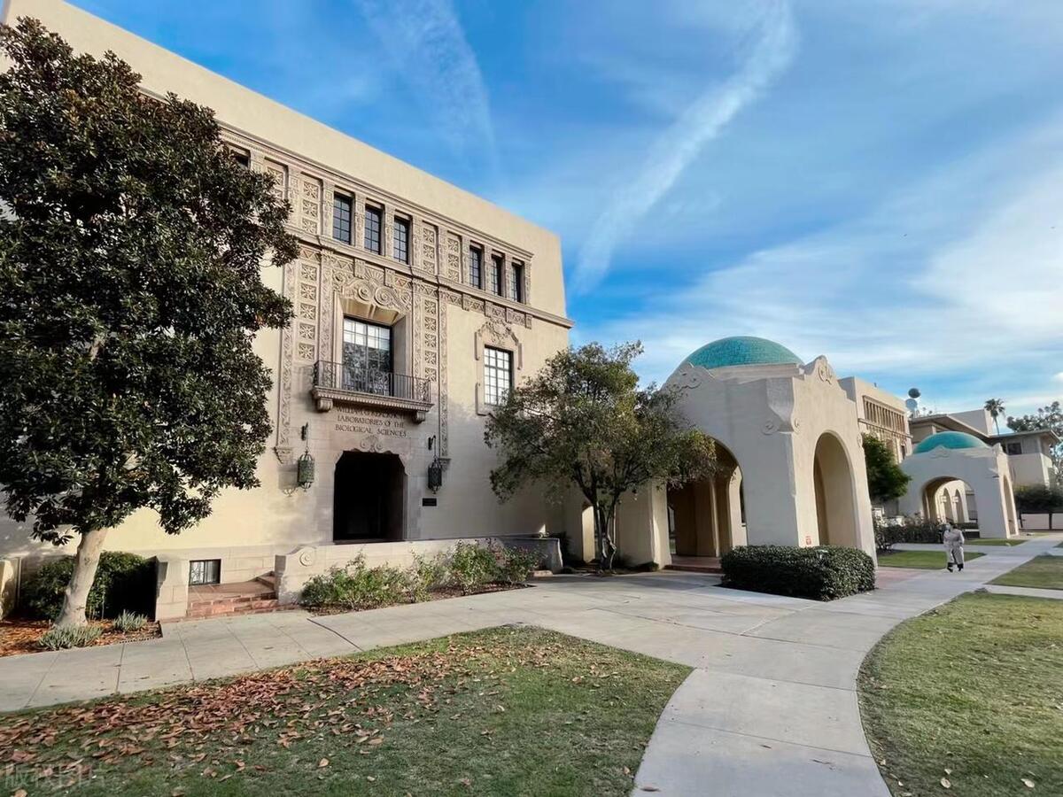 鍔犲窞鐞嗗伐澶у涓栫晫鎺掑悕,鍔犲窞鐞嗗伐瀛﹂櫌涓栫晫鎺掑悕