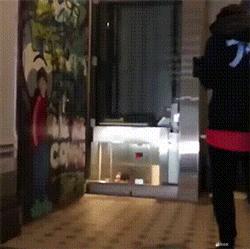 神回复：足球反着买，别墅靠大海，冷门下重注，超越*迁拆**户