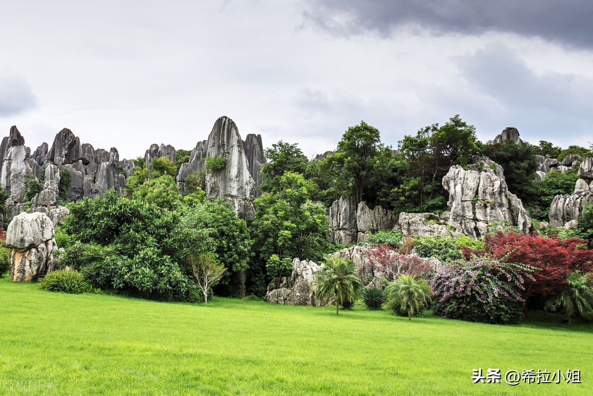 昆明机场周边有哪些旅游景点,元旦昆明周边有免费玩的景点吗
