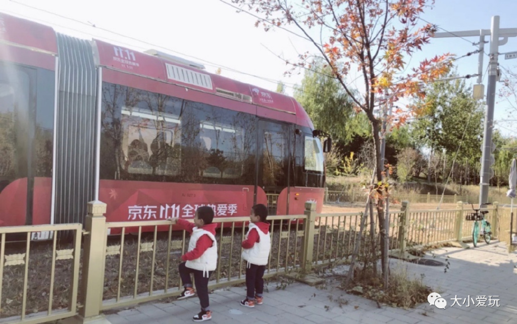 北京赏秋打卡地银杏大道,北京10条最值得打卡赏红叶线路