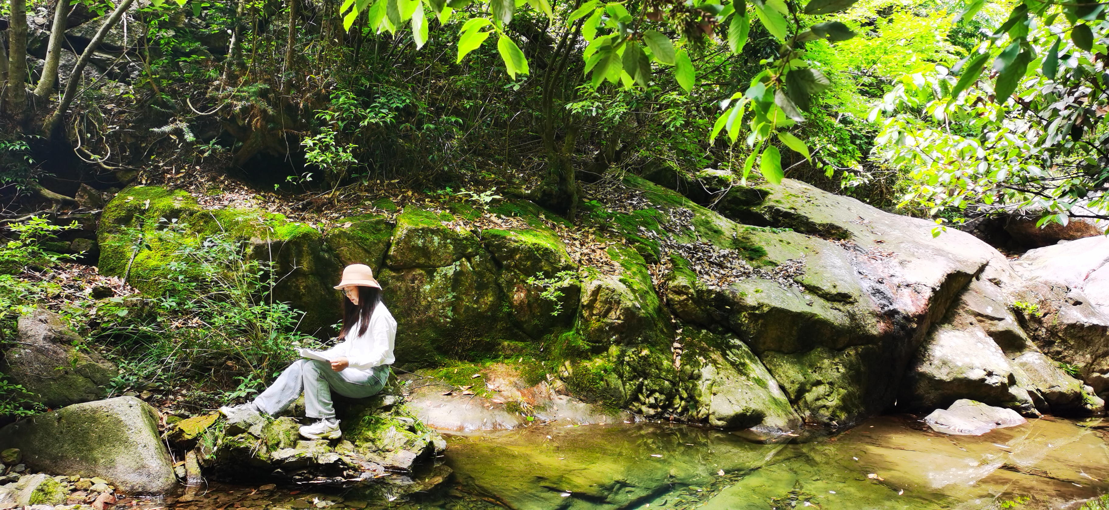 余姚四窗岩,余姚四窗岩景区开发