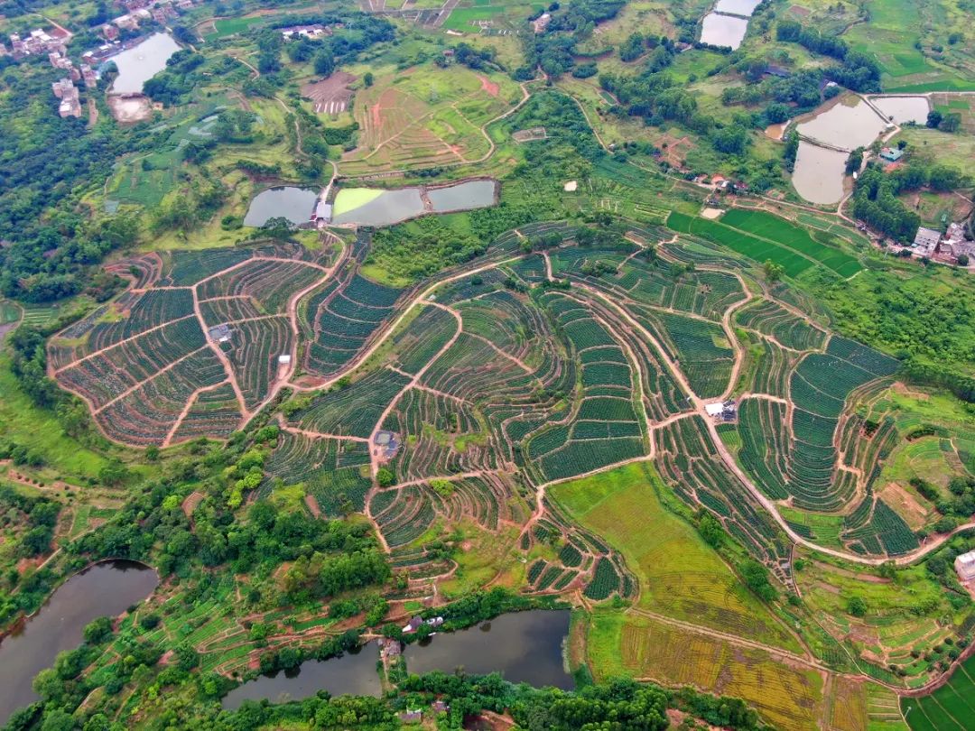 鑳介噺鍛ㄥ垔,鍏虫敞浜戞诞鏂伴椈
