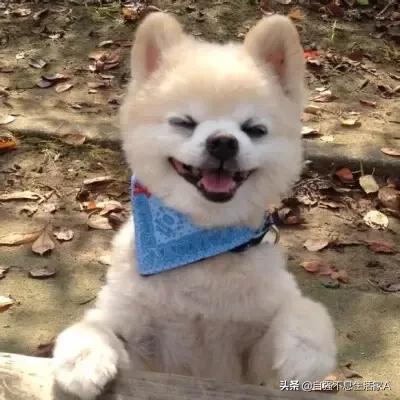 骞介粯椋庤叮鏈夊唴娑电殑绗戣瘽娈靛瓙,骞介粯椋庤叮鏈夊唴娑电殑绗戣瘽澶у叏