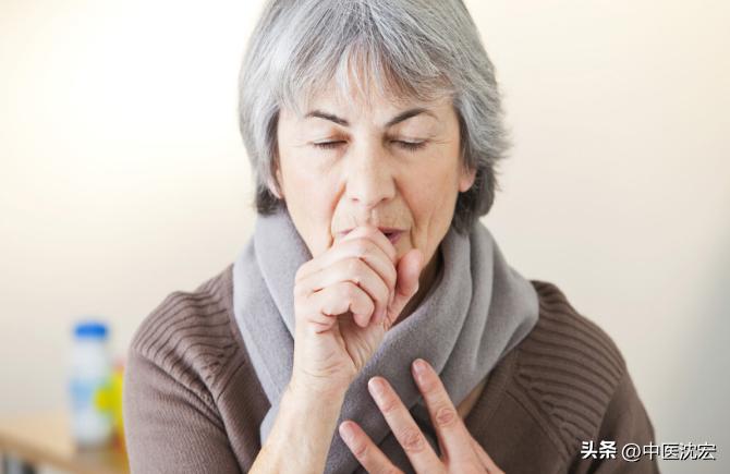痰湿蕴肺化痰的药物,补脾益气燥湿化痰的中成药有哪些