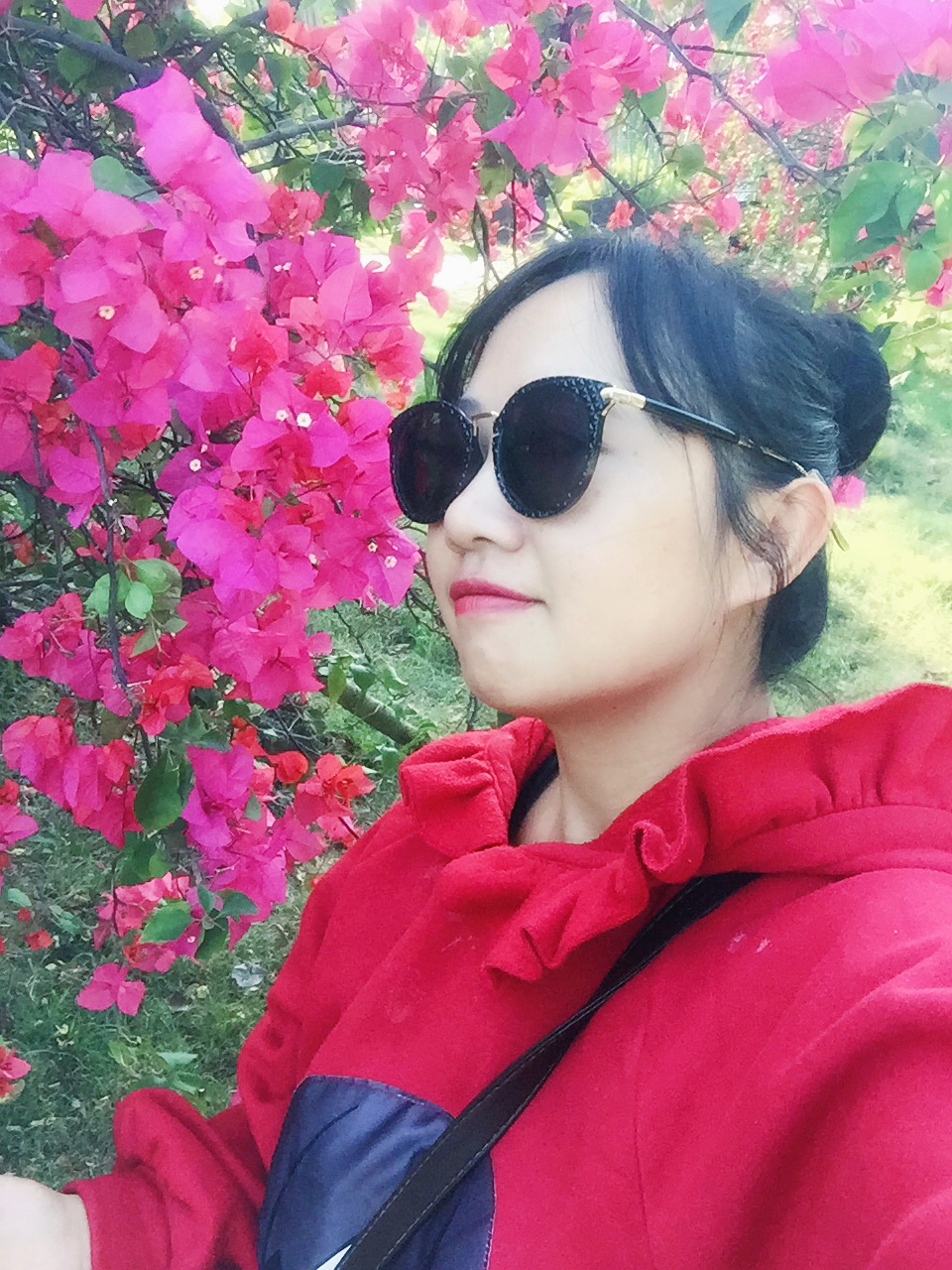 滨海公园海口全景,滨海公园海口海滩