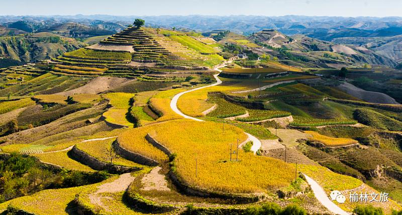 县长带你看榆林横山,卓荦不凡