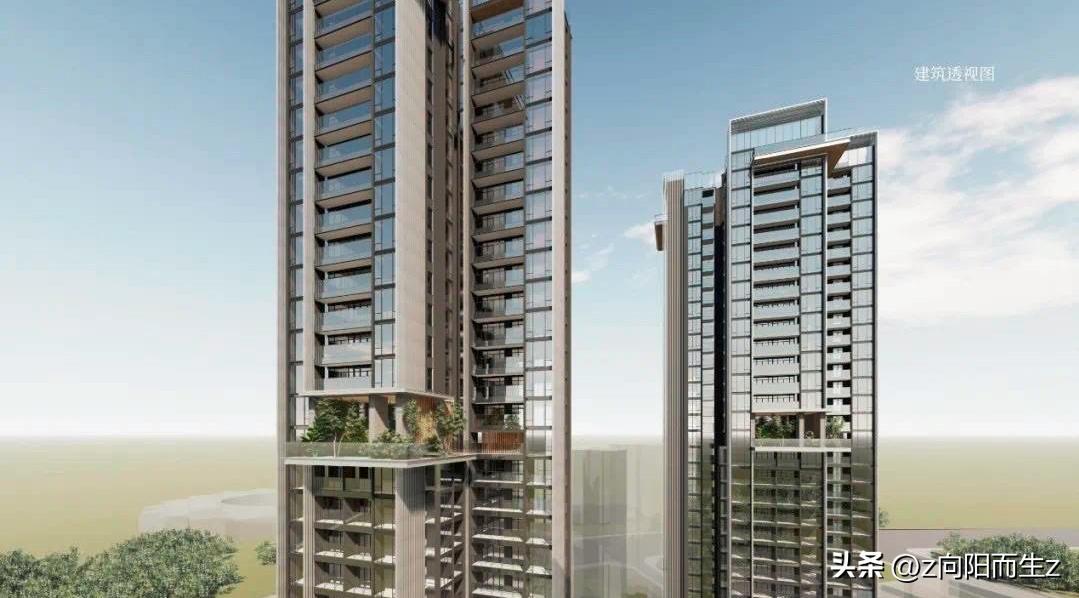 龙岗星龙园,大运星龙园