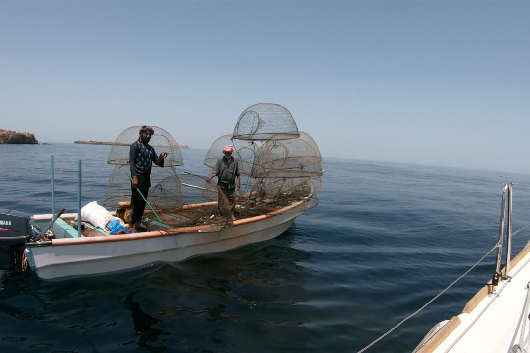 中国小伙的航海日记,44:遭遇海上马蜂袭击,亲妈都不认识我了