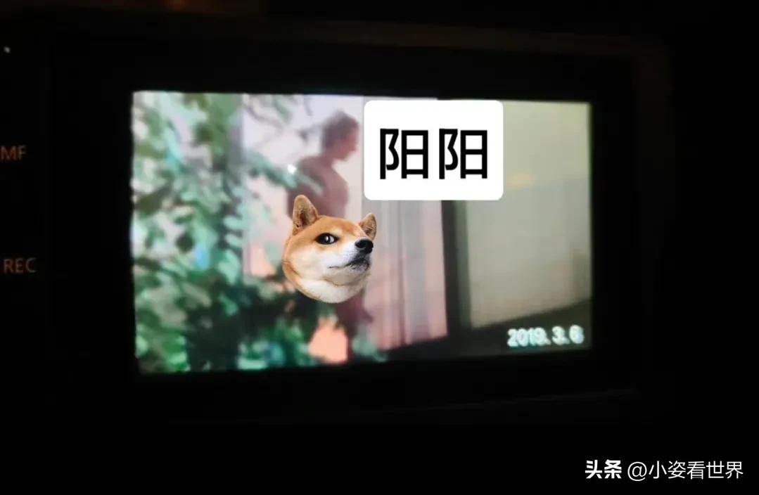 鹿晗宋妍霏乔欣,鹿晗孙嘉灵宋妍霏