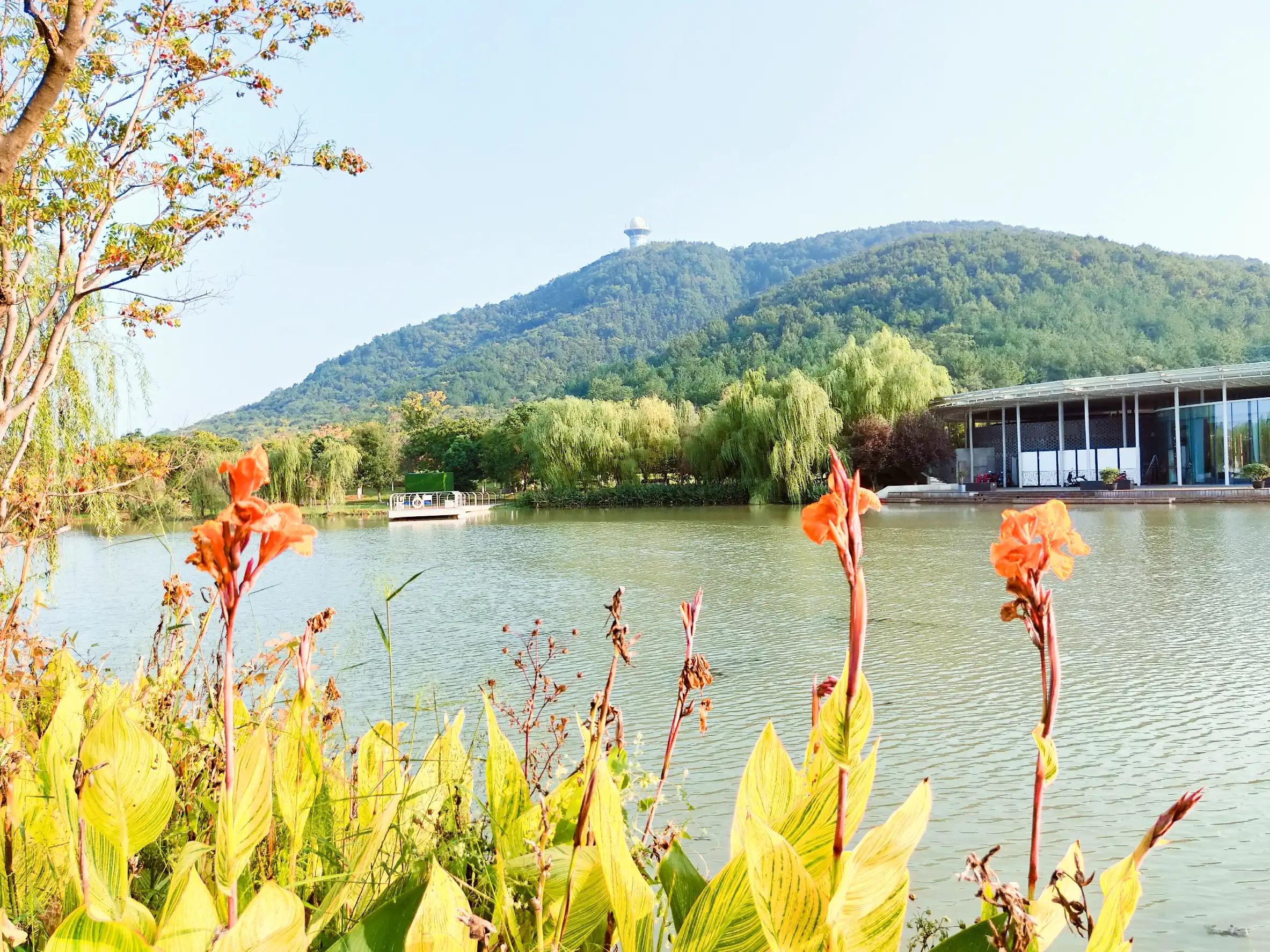 溧水无想山民宿预订,南京溧水无想山露营地点