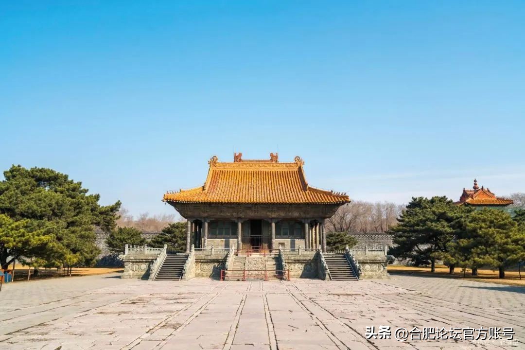 合肥市11月特价机票,特价机票来啦