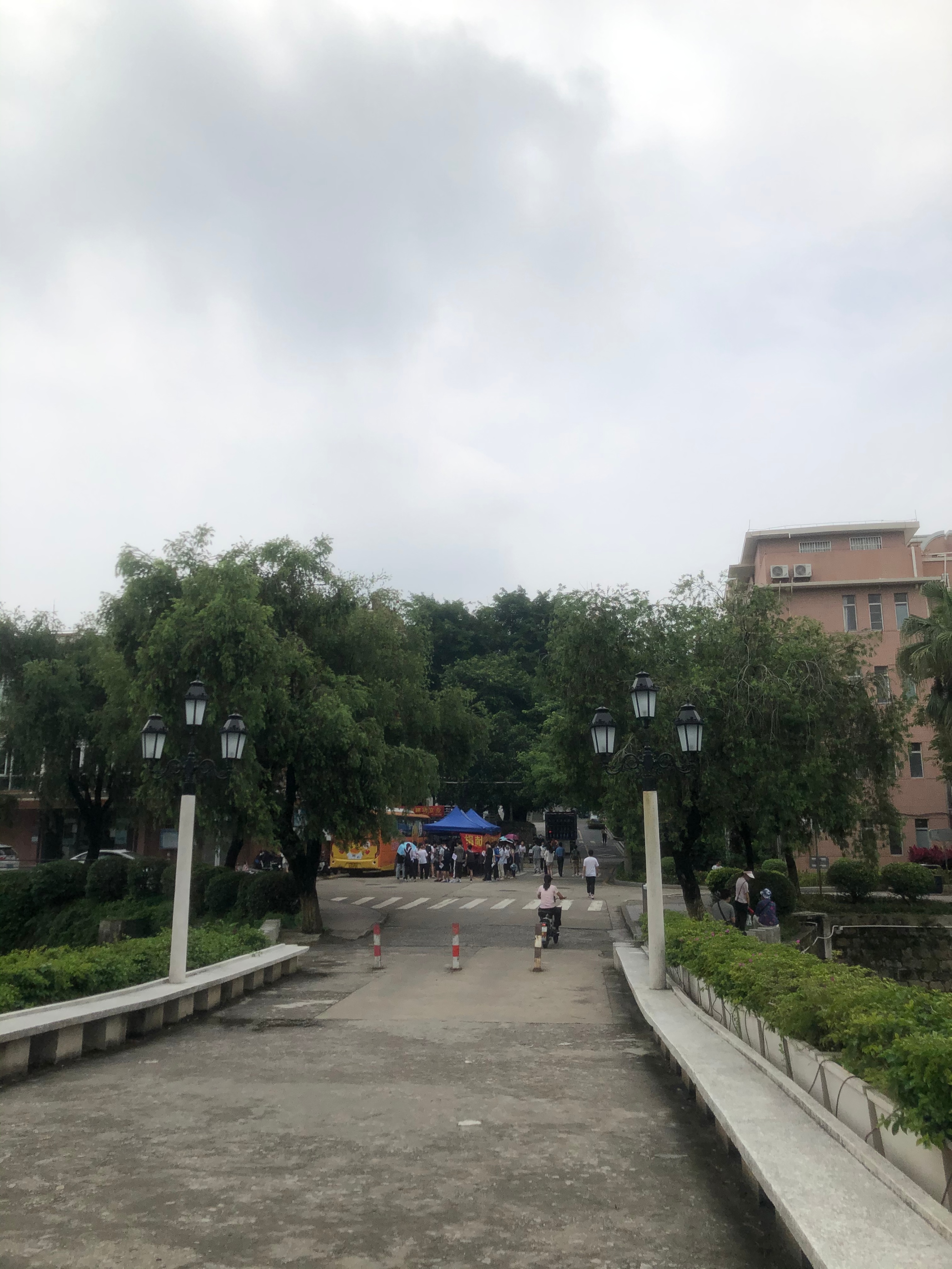 广州小城五山这个地方有多少个大学?
