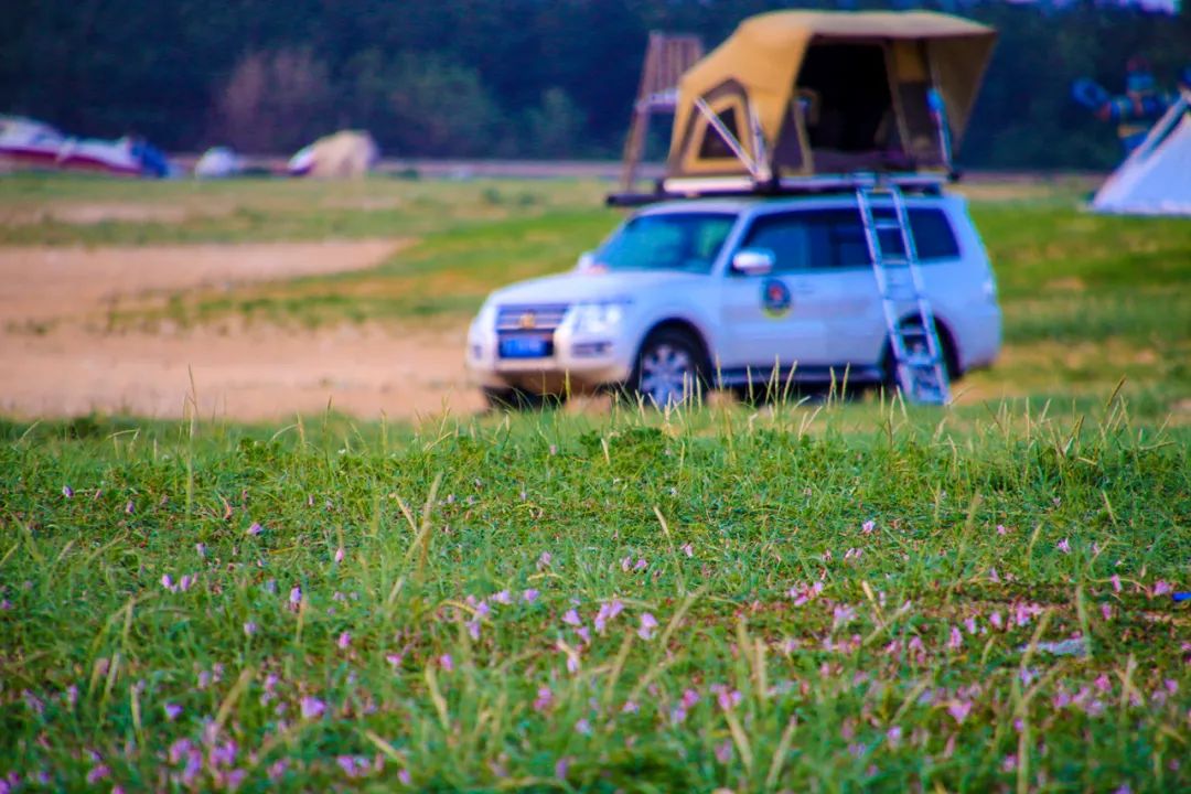 春天的第一场露营怎么策划,春天的第一场露营安排起来