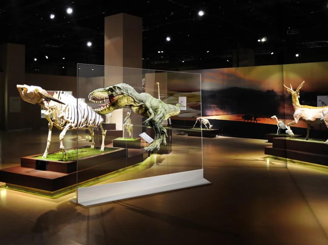 白手起家创业10年公司回顾,创业不到一年估值过亿的公司