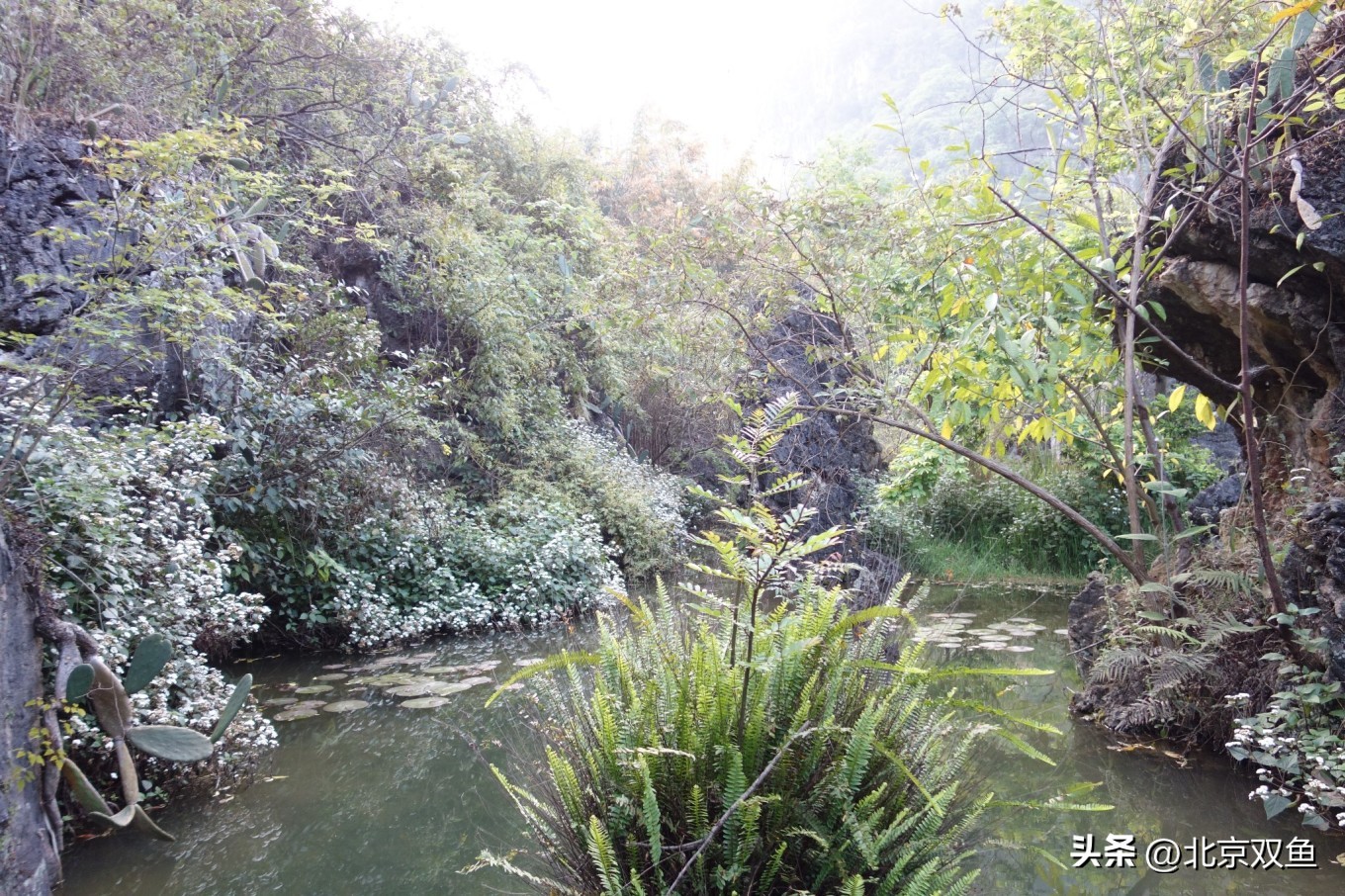 贵州黄果树最美的地方,贵州黄果树旅游攻略自由行