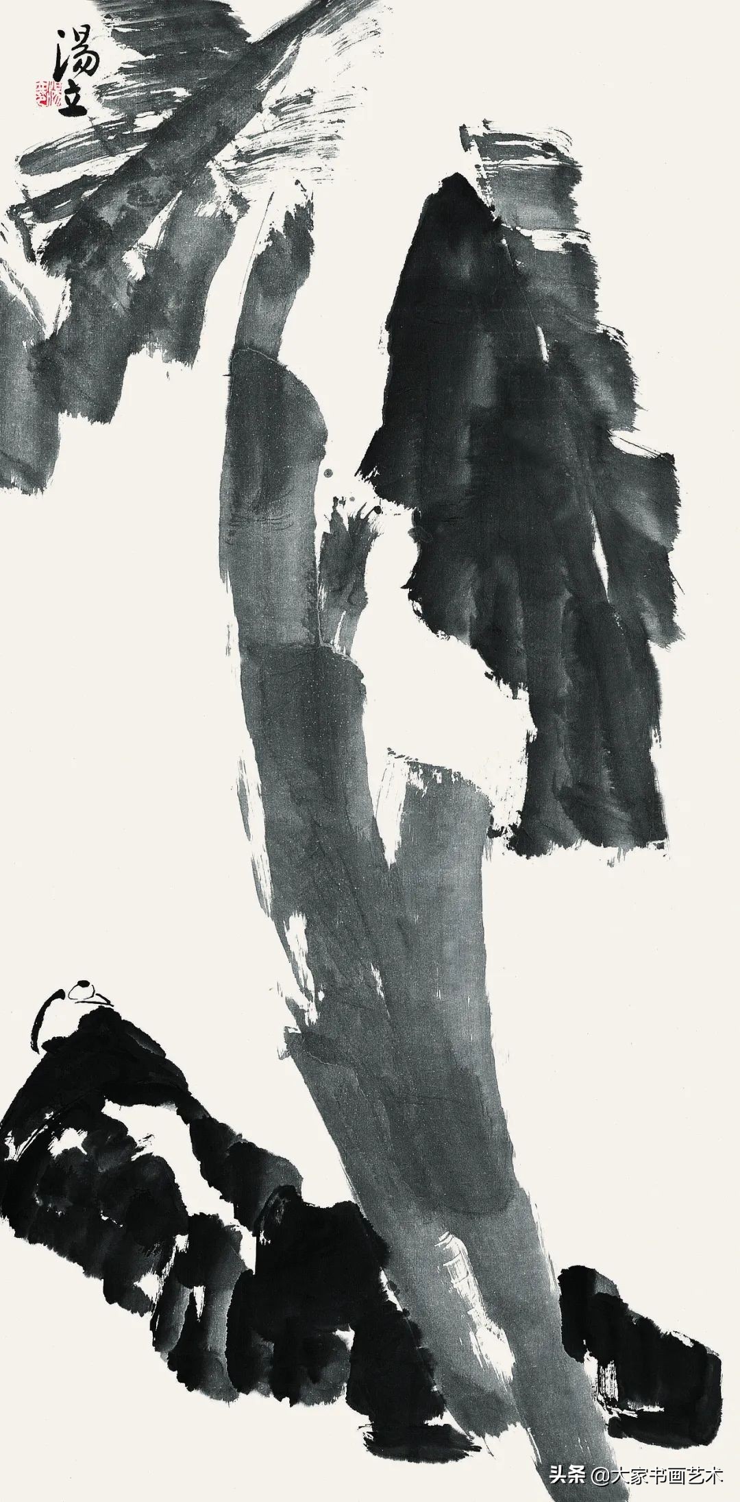 大家书画作品视频,汤立大写意花鸟画展