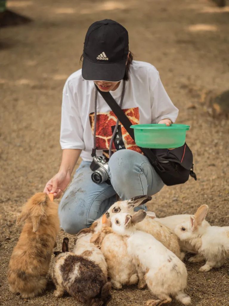 泰国曼谷旅游必去十大景区,泰国野生动物园亲子游