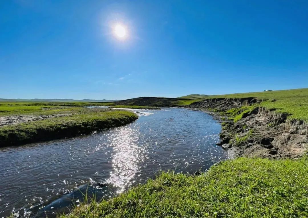 最具野性的美，我提名她