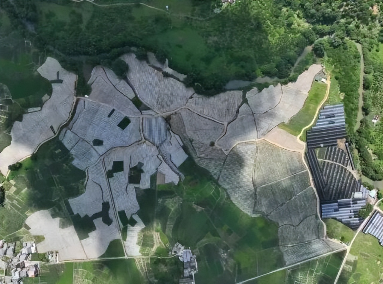 肇庆土特产农产品,肇庆最好的农业产业