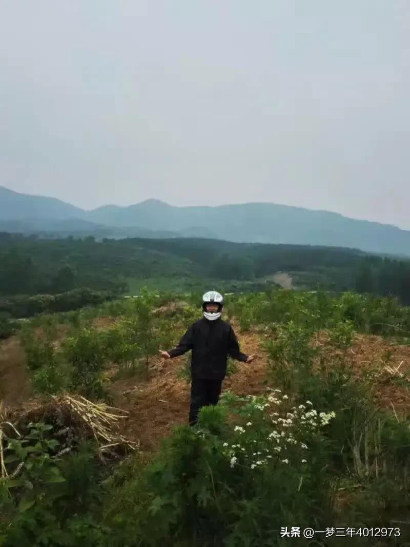 豪爵uhr150踏板水冷极速多少,豪爵uhr150踏板最新评测