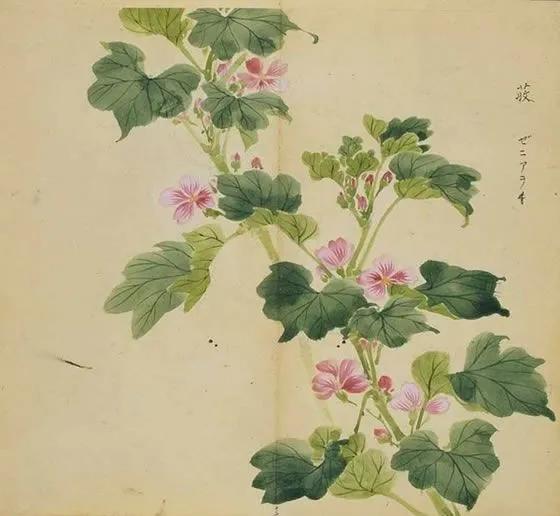 诗经陈风月出原文赏析,诗经陈风月出正确读音