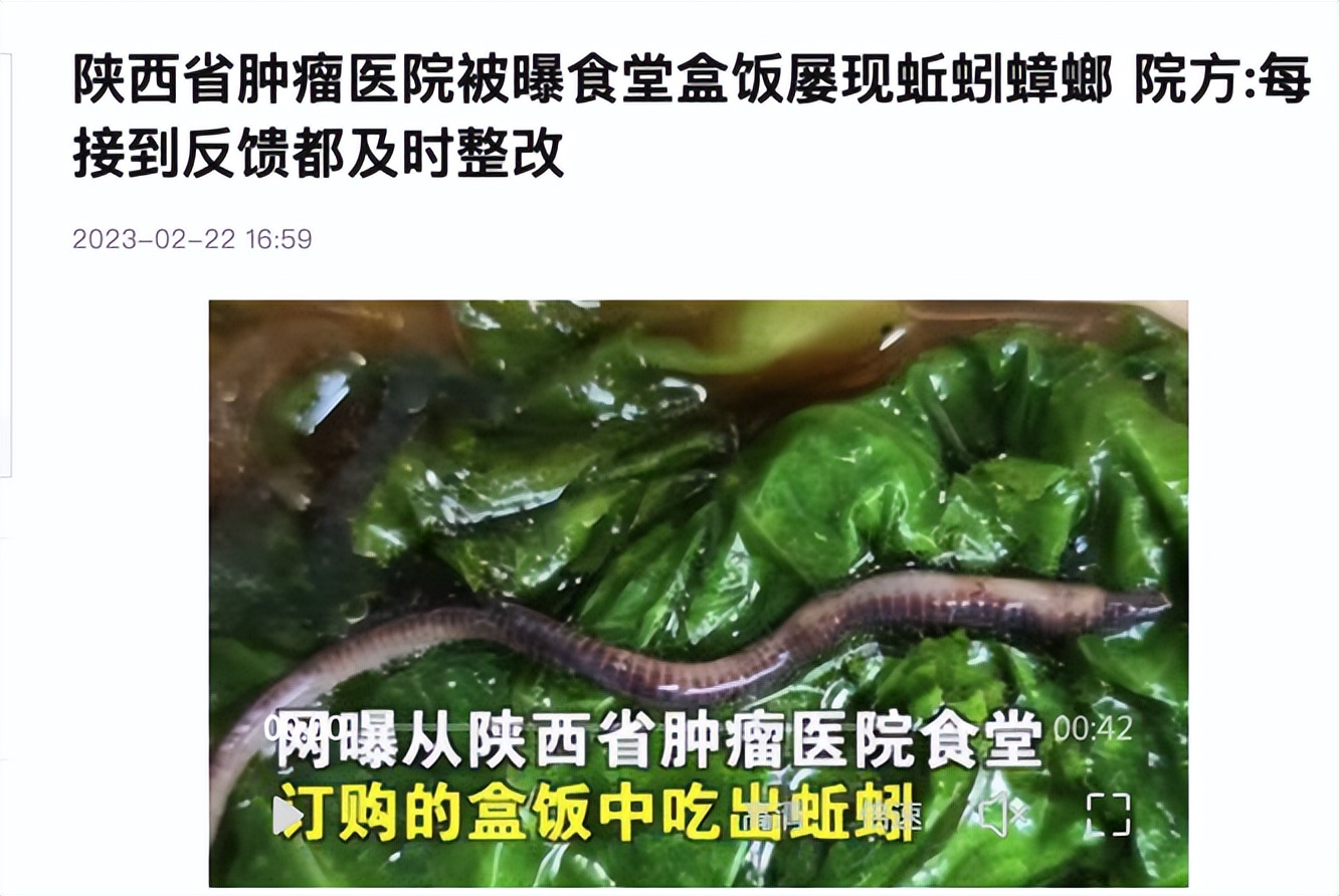 医院消灭老鼠小妙方,医院消灭老鼠的有效方法