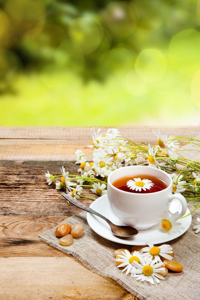 散文一年中的十二月,散文轻拥岁月笑对流年