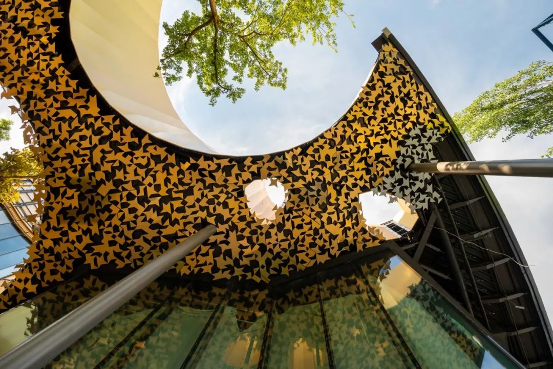 与藤本壮介一起走进金色叶子‘殿堂’，匈牙利音乐之家