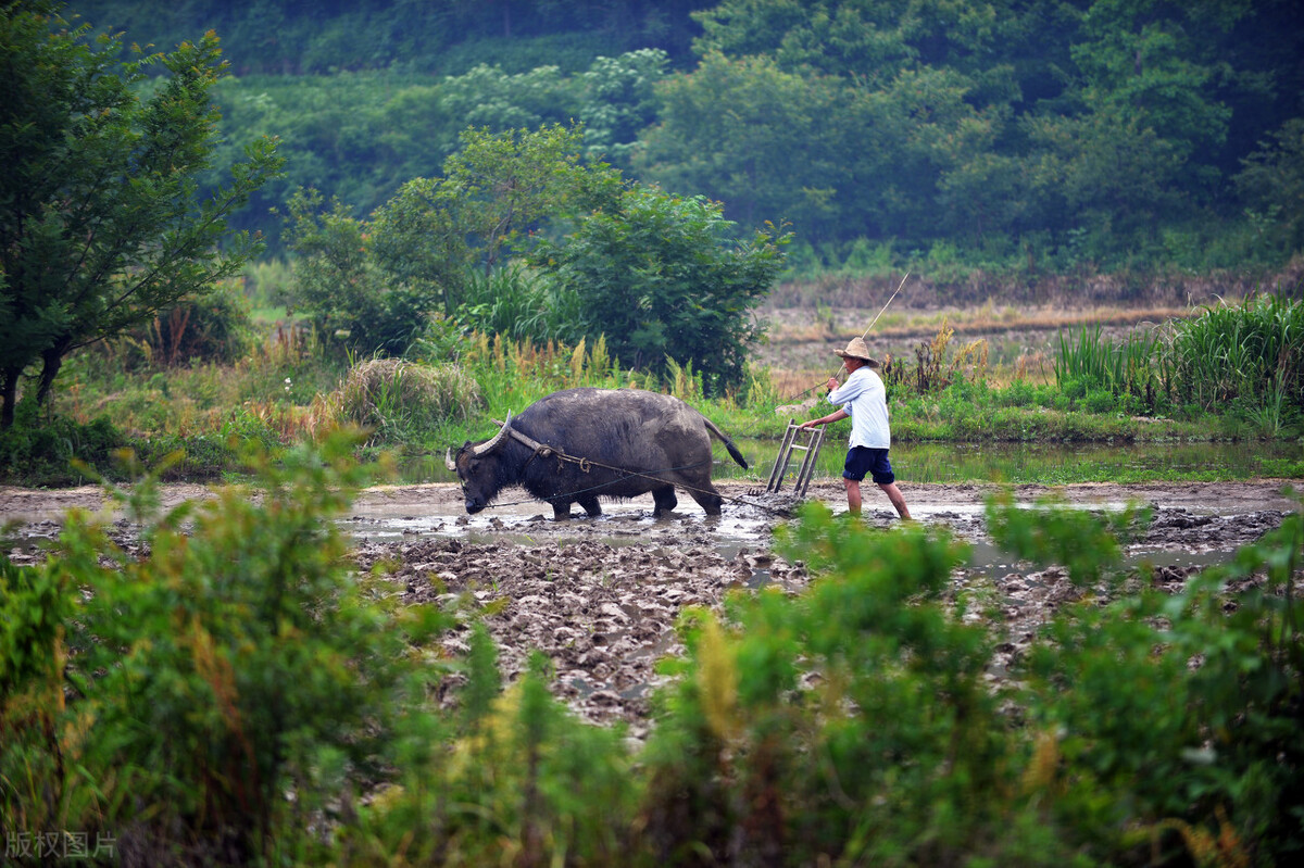 穷人怎么生活最适合,穷人不结婚的话以后会有穷人吗