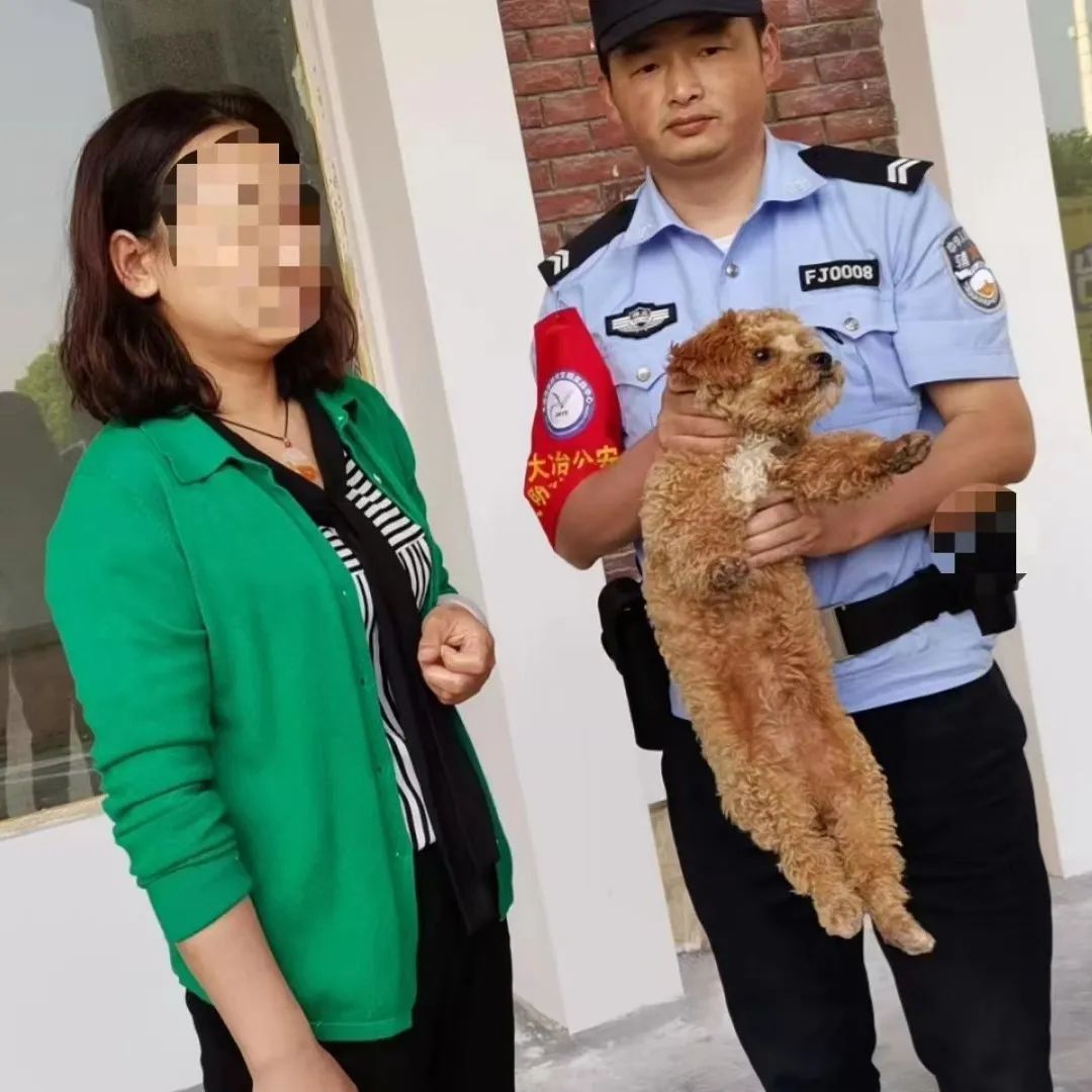 文明城市因不文明养犬被处罚,抚顺整治不文明养犬