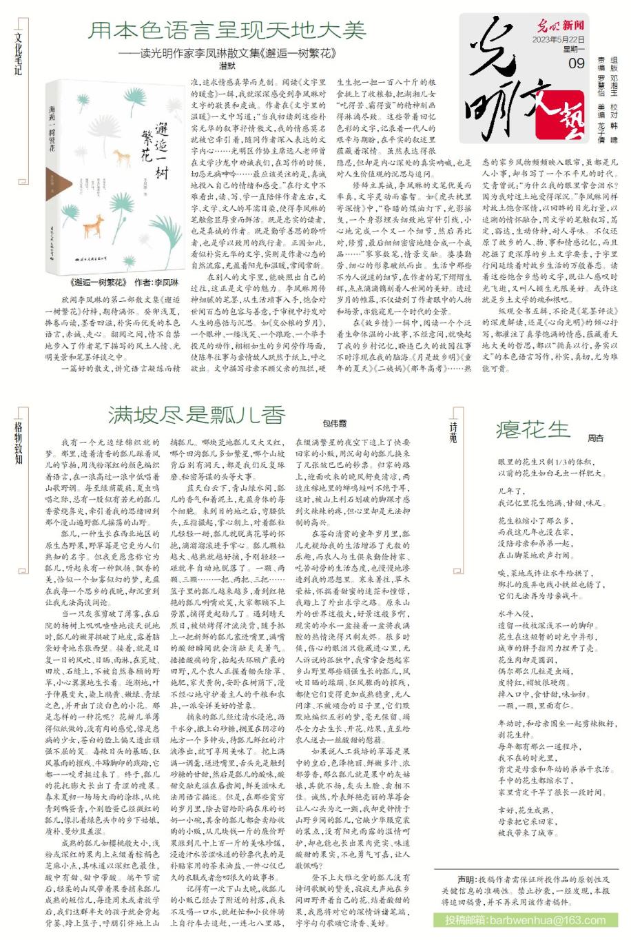 “艇”进科学城,奋楫茅洲河!X9联盟赛艇联赛在光明举行