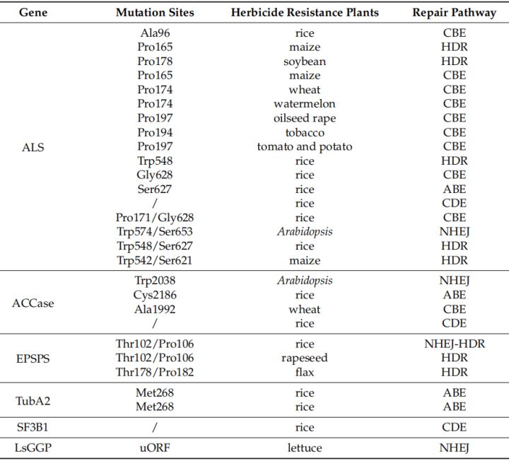 5g研发的过程,5g种植