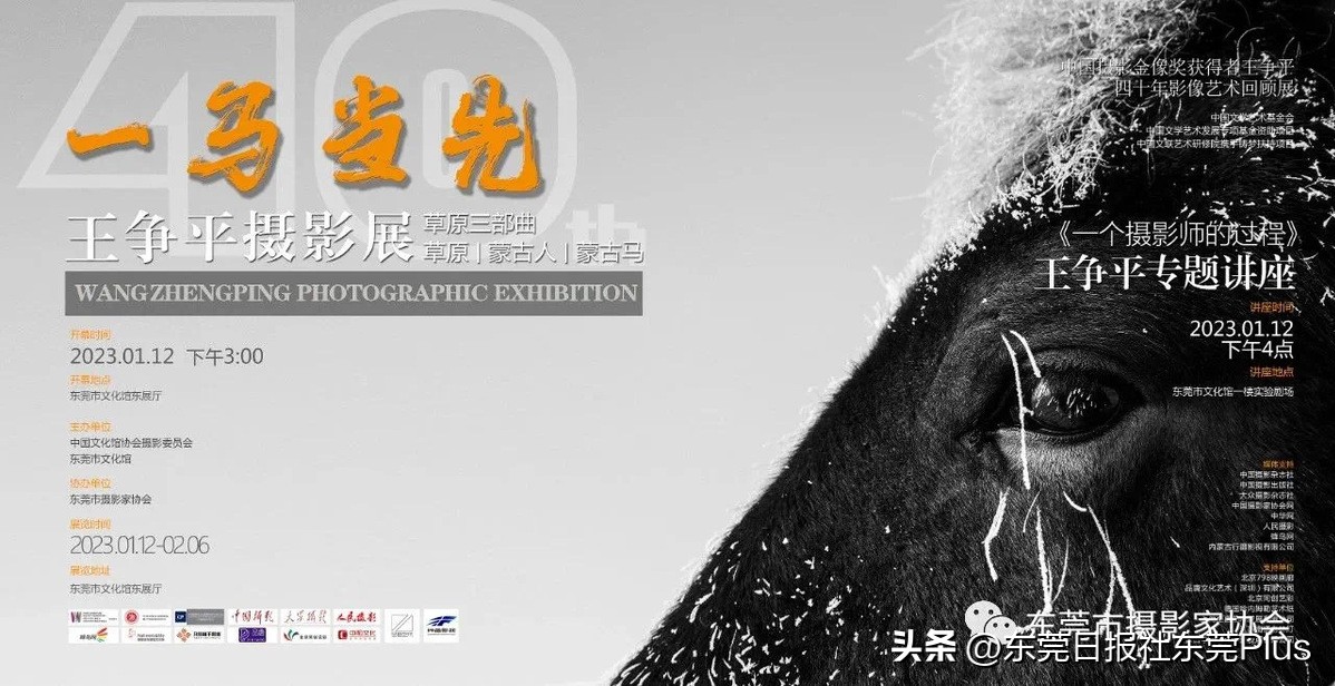 2023春节假期·东莞观展指南——以此献给留莞过年的伙伴