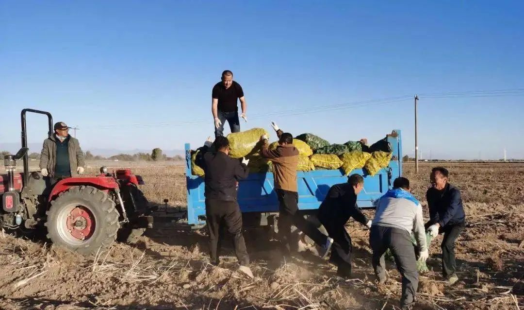 以租代征打赢官司案例,以租代征征收集体土地案例