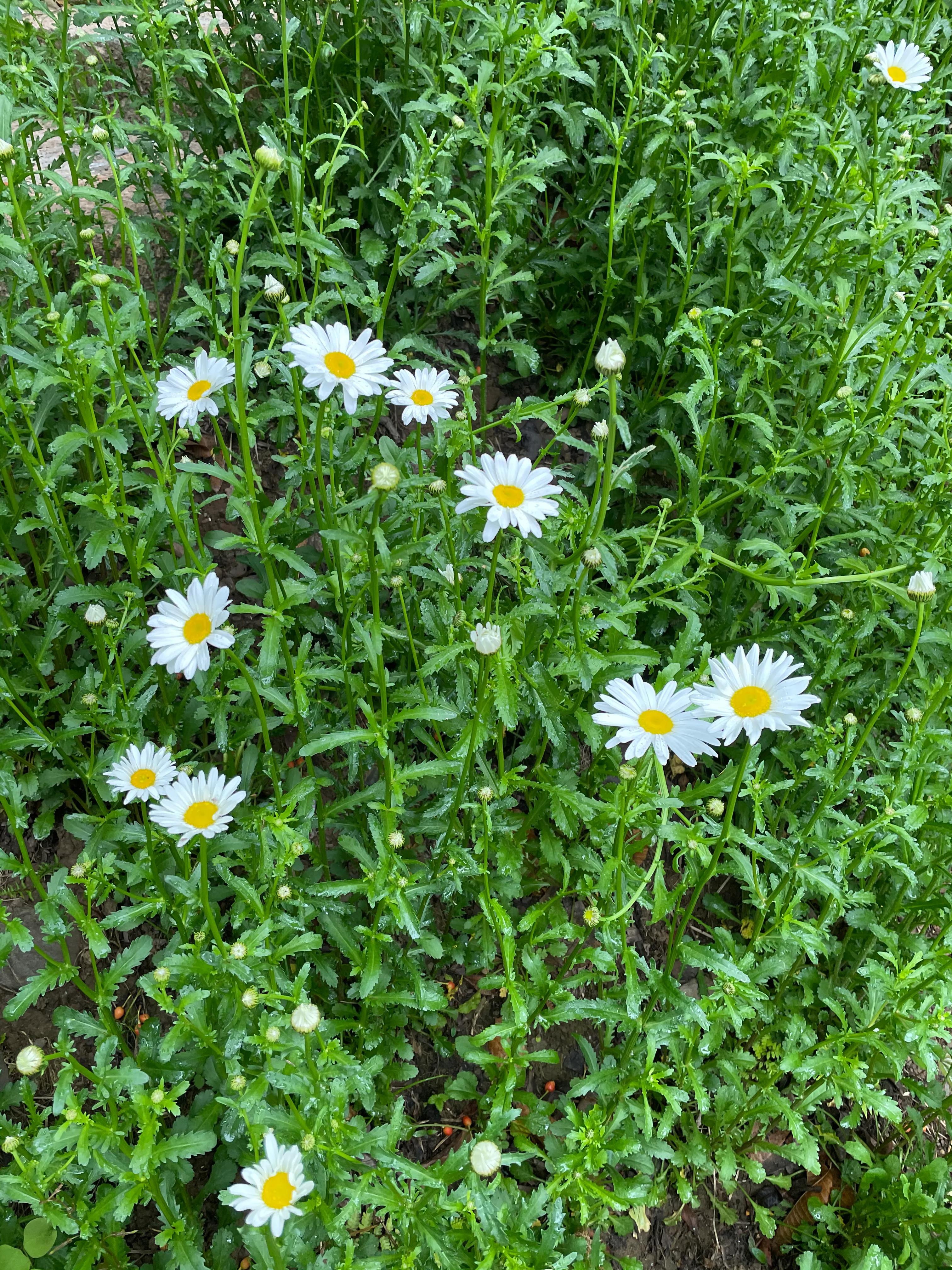 4a级旅游景区,4a级旅游景区有哪些