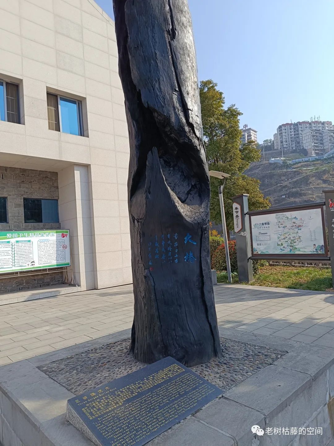 重庆到宜昌的豪华游轮攻略,宜昌到重庆游轮五日游最好的时间