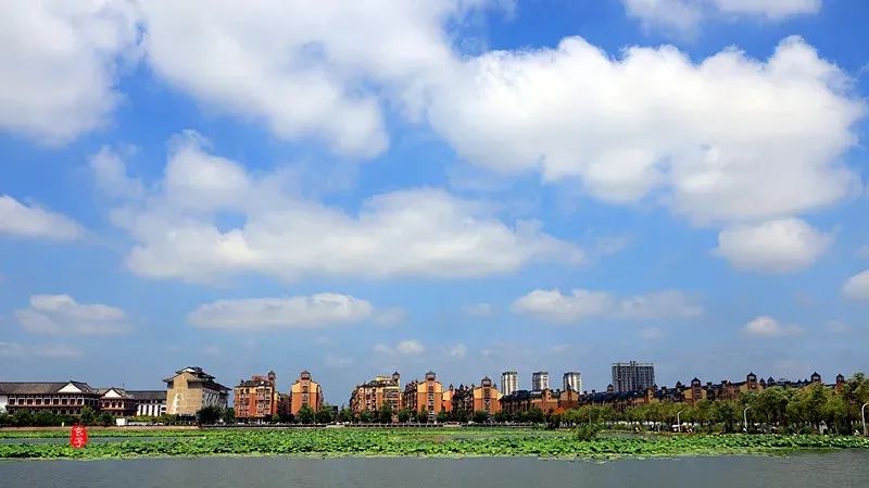 周口淮阳区荷花节在哪里举办了,周口淮阳荷花节开幕式节目单