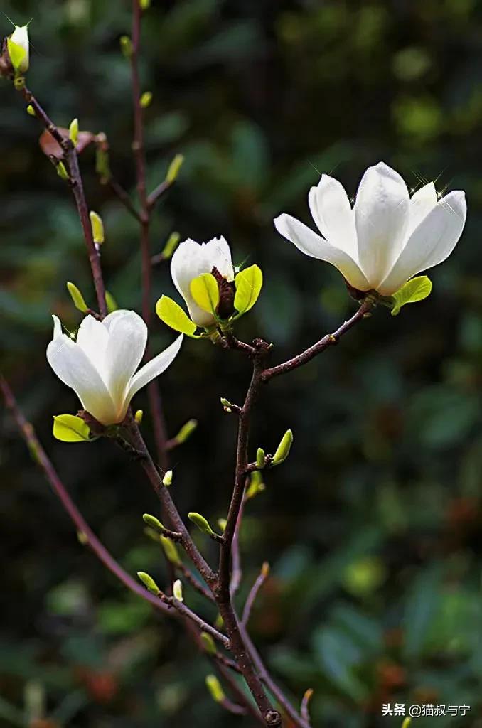 如何才能拍出高级质感的照片,怎么拍出有质感的照片
