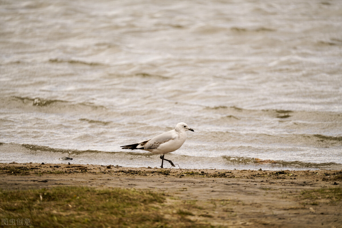 河北沽源是哪条河的发源地,沽源县自然风景